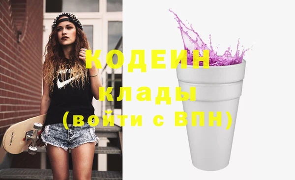 крисы Инта