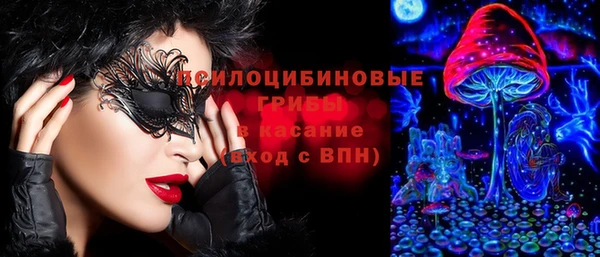 гашик Инсар