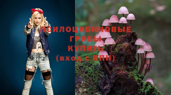 стаф Абдулино